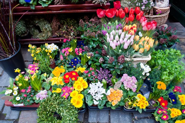 Bloemenmarkt in het voorjaar van — Stockfoto
