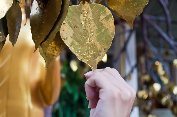 stock image Buddism golden money tree