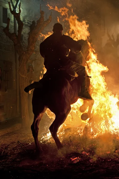 Paard en brand — Stockfoto