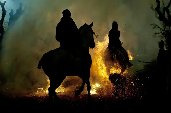 stock image Horse and fire