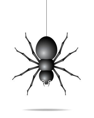 Spider hanging on a gossamer thread clipart