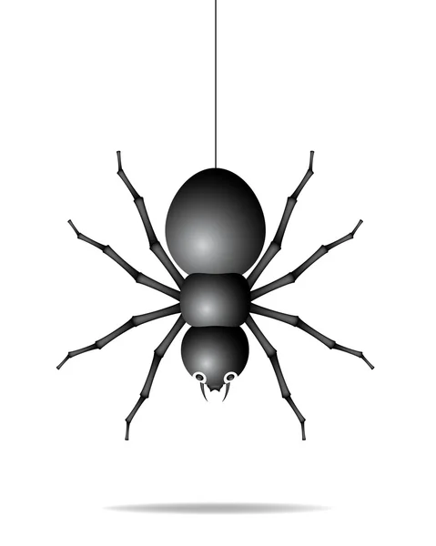 Bürümcük iş parçacığı üzerinde asılı örümcek — Stok Vektör