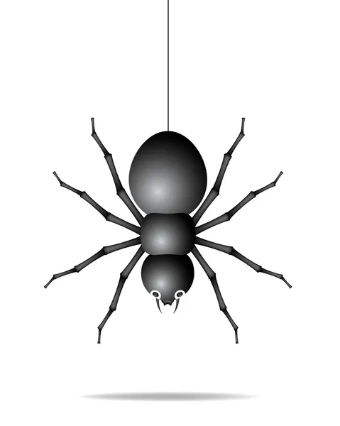 stock vector Spider hanging on a gossamer thread