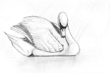 Swan pencil clipart