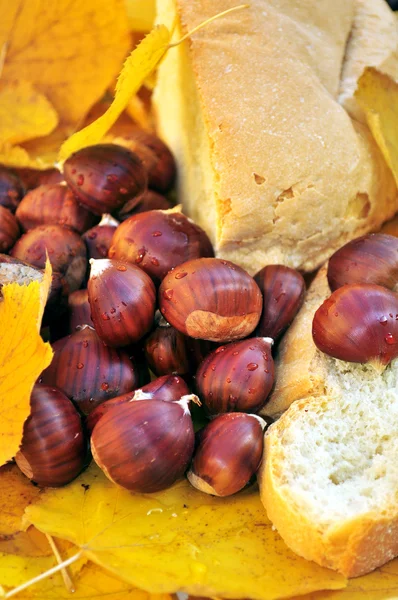 Still life with chestnuts and bread — Stock Photo, Image