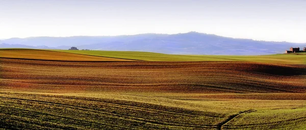 Tuscan hills — Stock Photo, Image