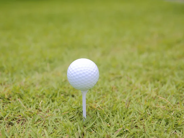 Мяч для гольфа на поле — стоковое фото