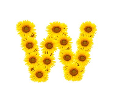 alfabe w