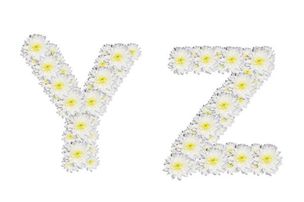 Alphabet YZ — Stock Photo, Image
