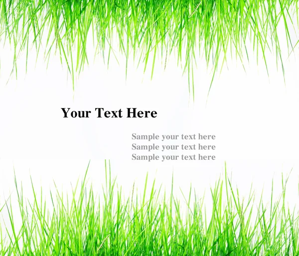 Grönt gräs ram — Stockfoto