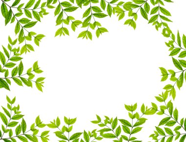 Leaves frame clipart