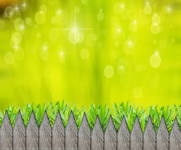Grüne Bokhe mit Zaun — Stockfoto