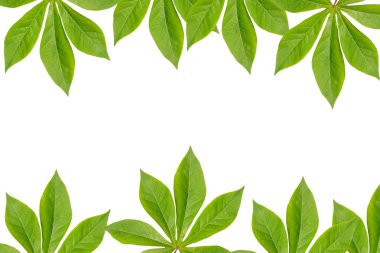 Leaves frame clipart