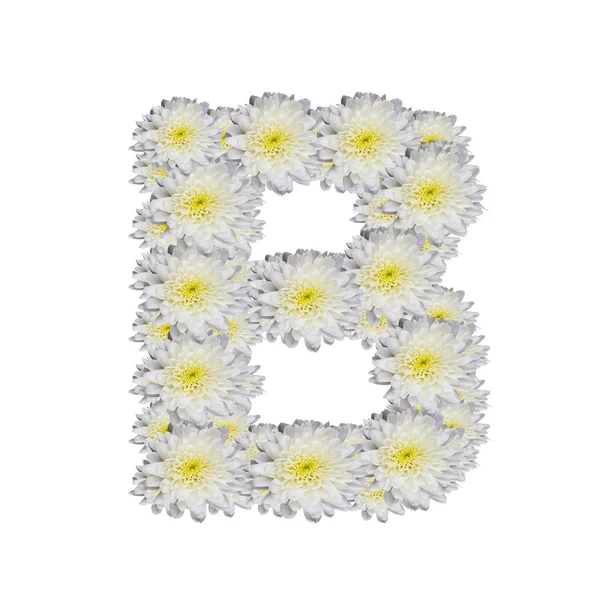 Alphabet B — Stock Photo, Image