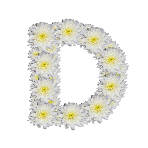 Alphabet D — Stock Photo, Image