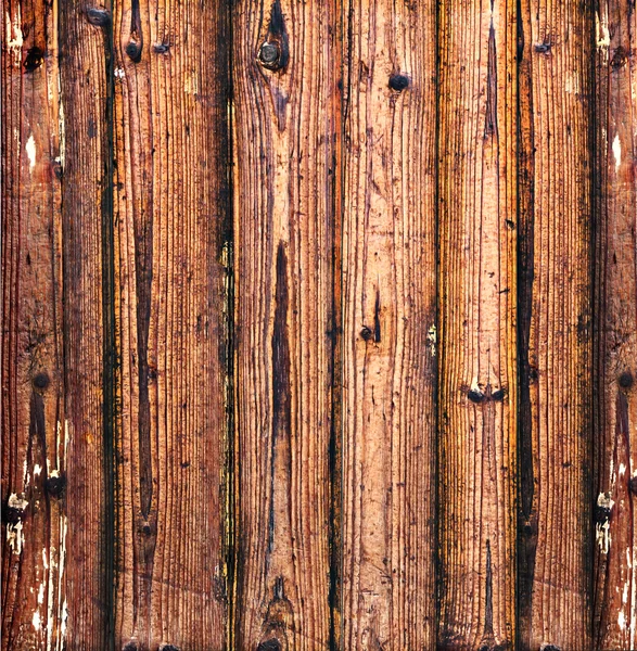 Старое дерево — стоковое фото