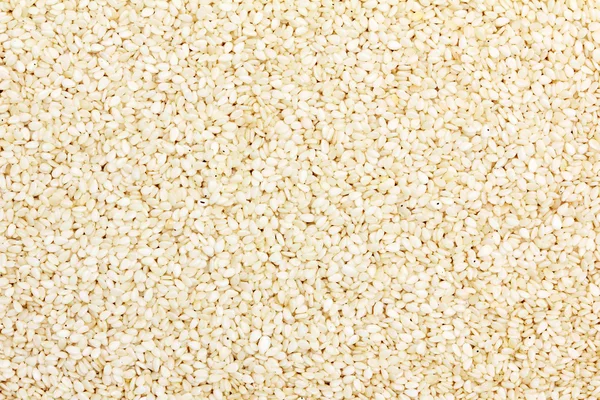 White sesame — Stock Photo, Image