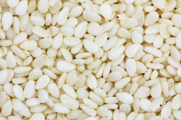 stock image White sesame