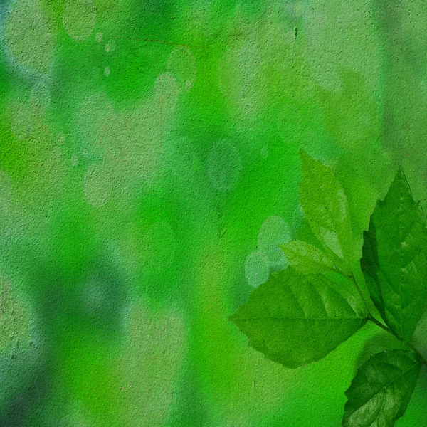 Зеленый листья гранж фон — стоковое фото