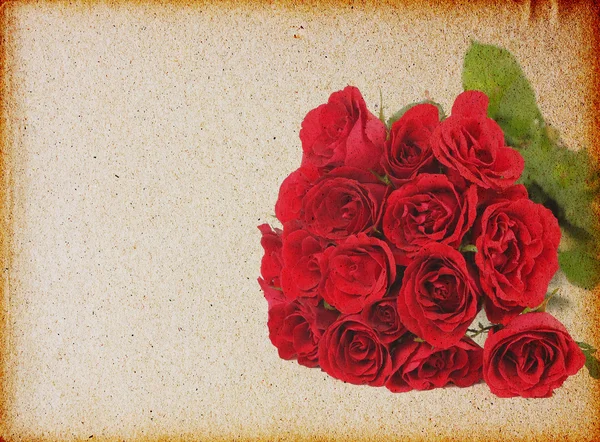 Rosa vintage — Fotografia de Stock