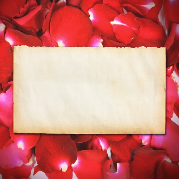 Empty vintage paper on rose petals background — Stock Photo, Image