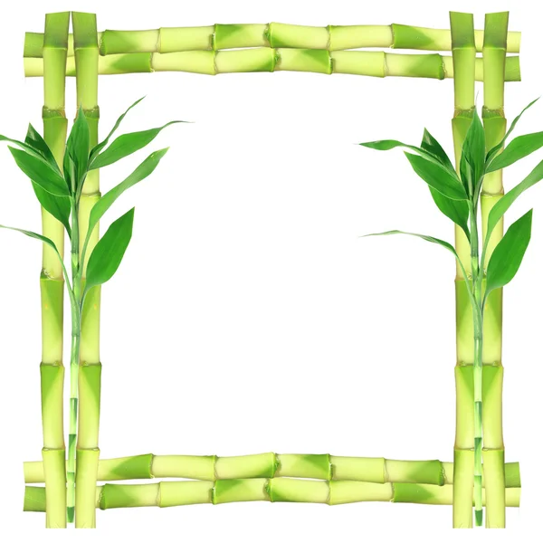 Бамбуковая рамка — стоковое фото