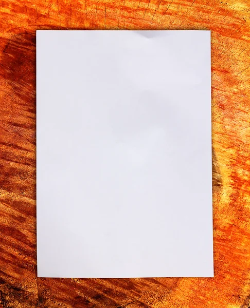 Белая бумага на дереве — стоковое фото