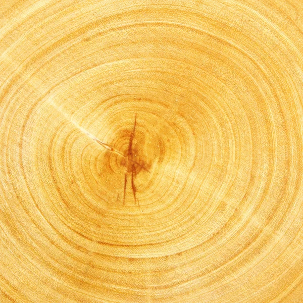Färskt sågat trä — Stockfoto