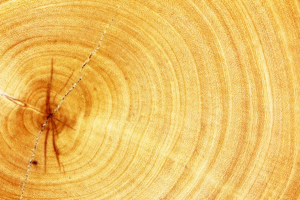 Knippen van houtstructuur — Stockfoto