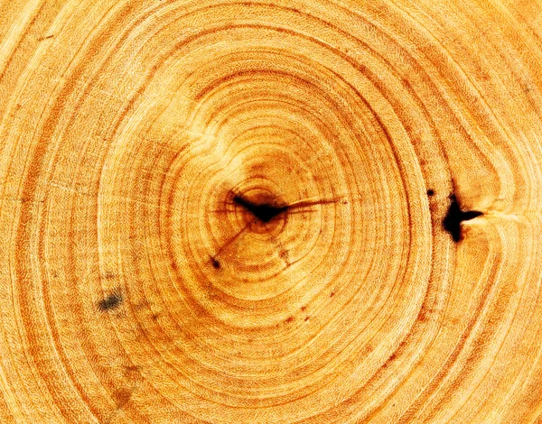 Taglio di struttura di legno — Foto Stock