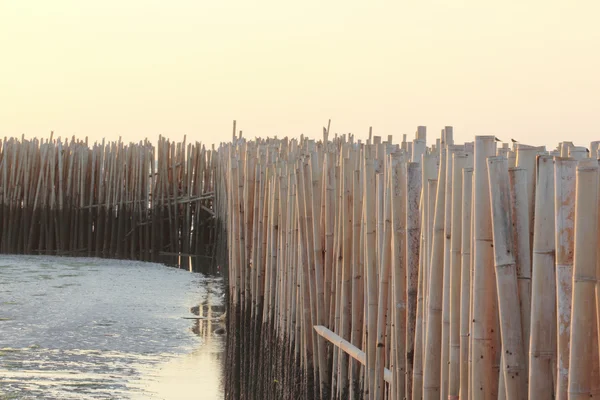 stock image Bamboo wall