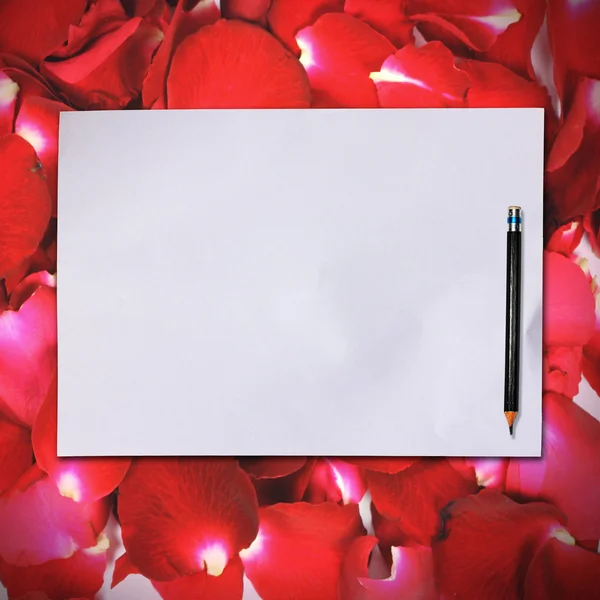 stock image Blank white paper onr ose petals background