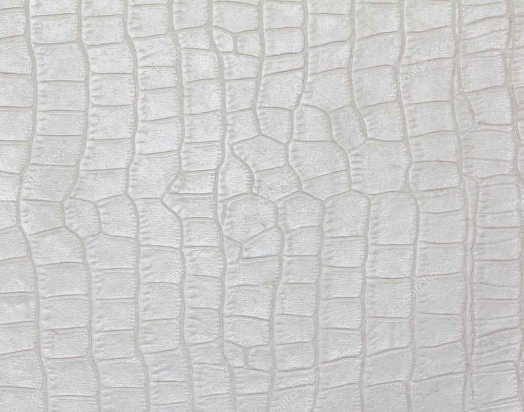 Crocodile Skin Texture Stock Photo By, White Crocodile Leather