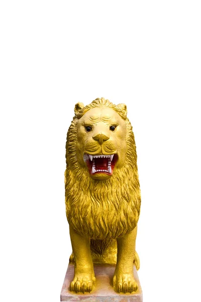 Złoty lew — Zdjęcie stockowe