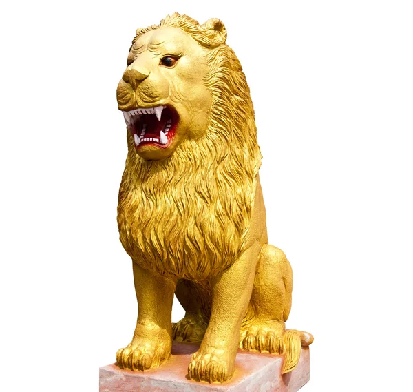 Золотой лев — стоковое фото