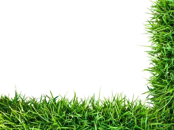 Taze yeşil çim çerçeve — Stok fotoğraf