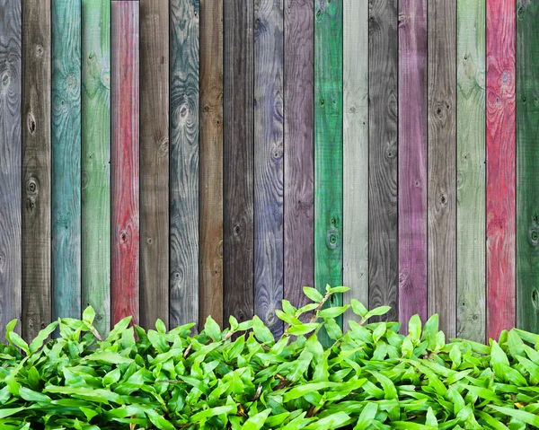 Трава на разноцветной древесине — стоковое фото