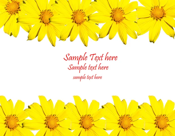 Žlutý květ rám — Stock fotografie