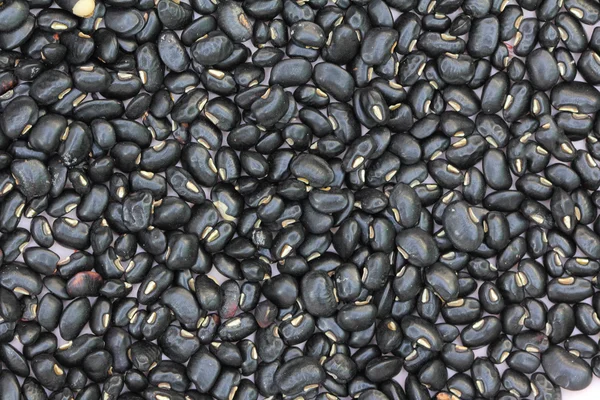 Frijoles negros — Foto de Stock