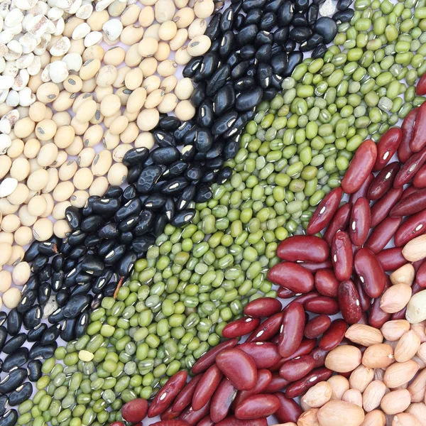 Varieties of beans — Stock Photo, Image