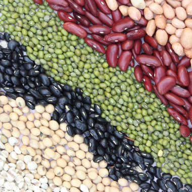 Varieties of beans clipart