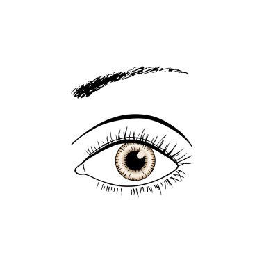 Brown eye line art clipart