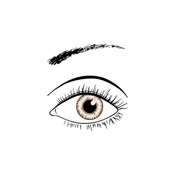 Brown eye line art — Stock Vector