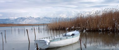 panoramik manzaralı. kürek teknesi