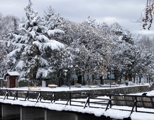 Kış manzarası. tahta köprüden geçerken — Stok fotoğraf