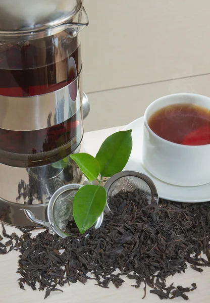 黒鉄アジア ティーポット紅茶ミントの小枝 — ストック写真