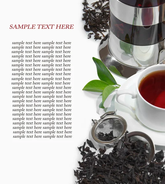 stock image Black iron asian teapot with sprigs of mint for tea