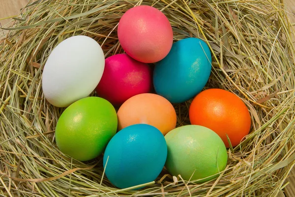 Stock image Easter Eggs