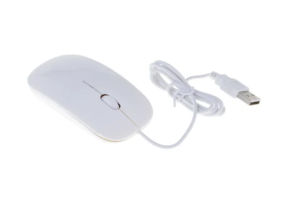 Beyaz bilgisayar faresinde izole — Stok fotoğraf