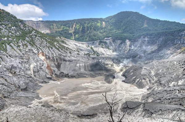 Tangkuban Perahu